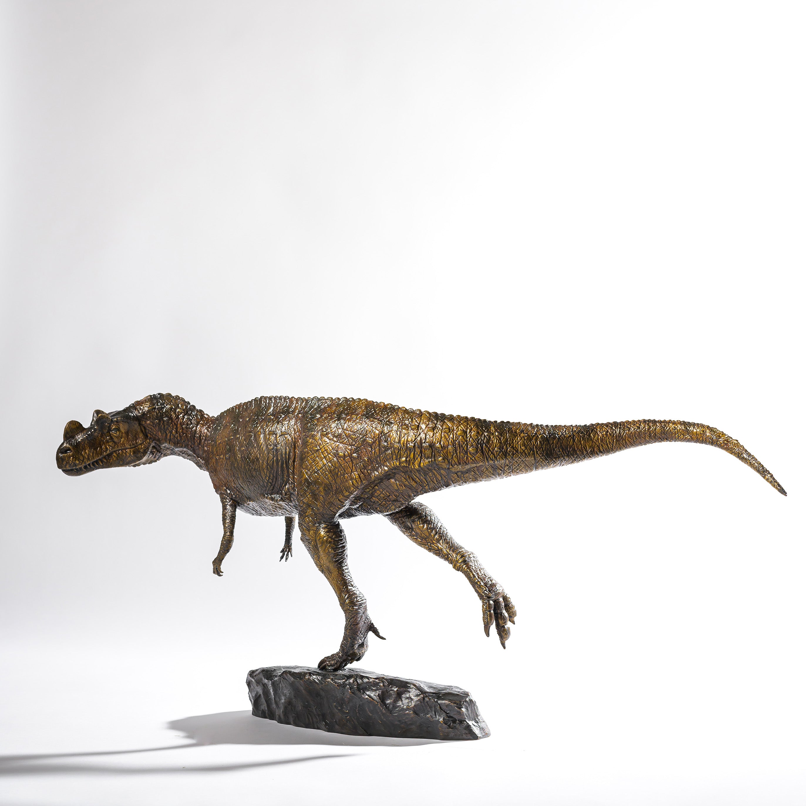 CERATOSAURUS NASICORNIS