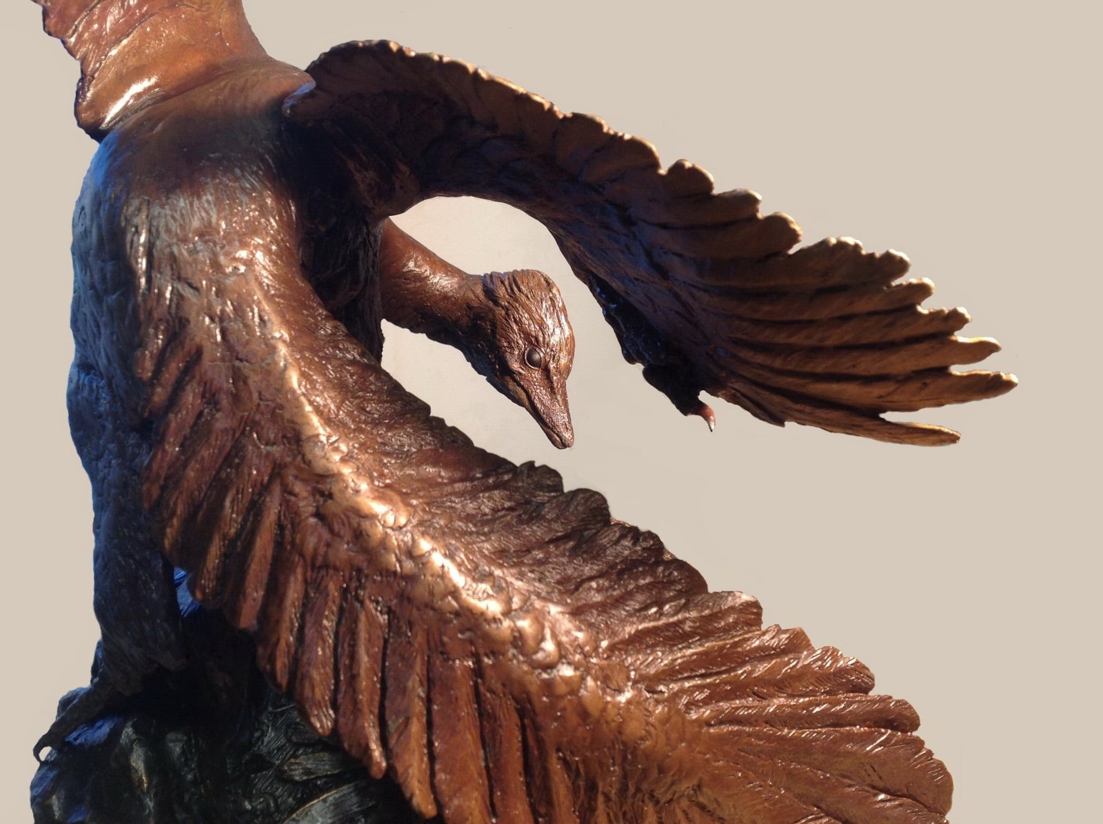 Archaeopteryx | GRANADA | Discover Your Inner Explorer