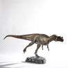 CERATOSAURUS | GRANADA | Discover Your Inner Explorer