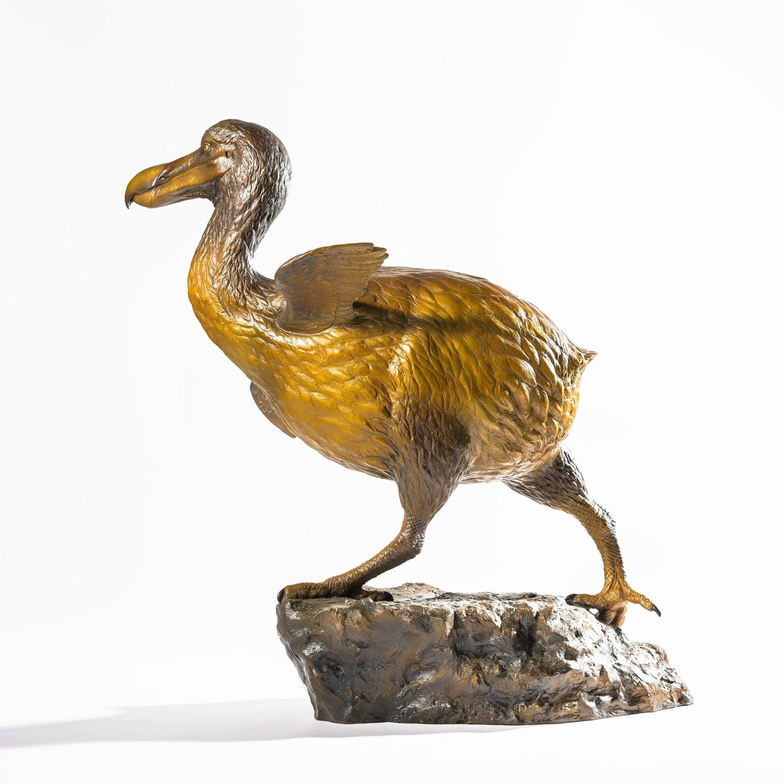 DODO | GRANADA | Discover Your Inner Explorer