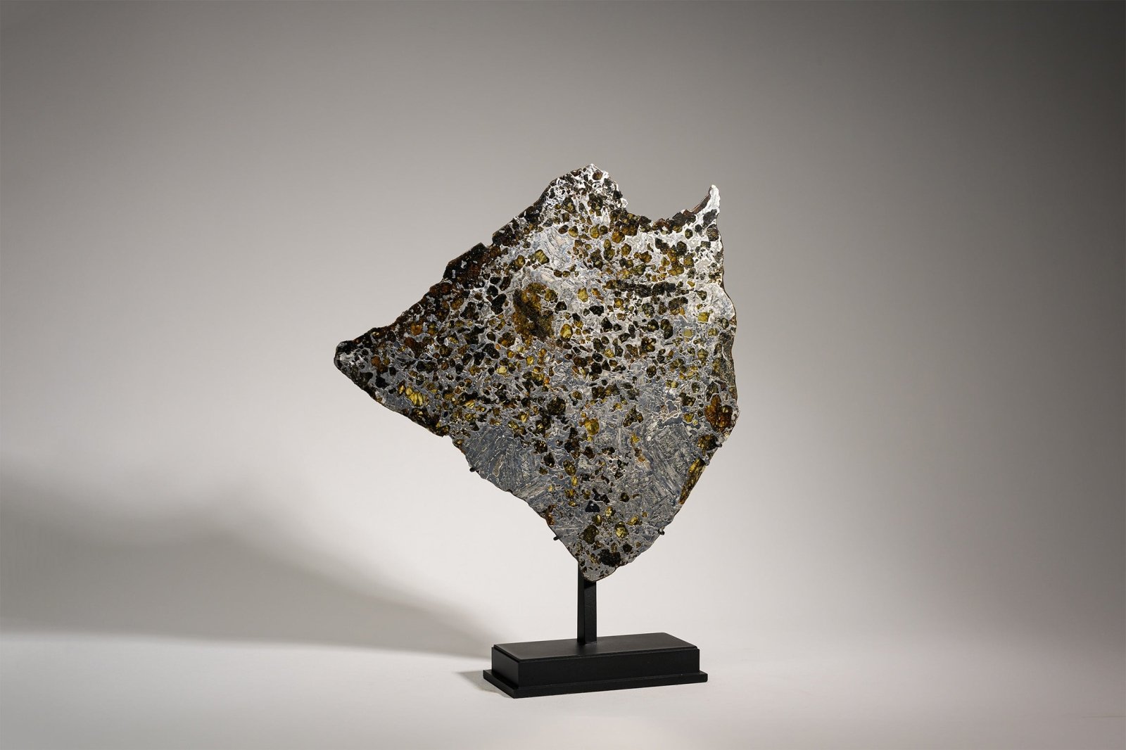 PALLASITE | GRANADA | Discover Your Inner Explorer