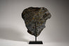 PALLASITE | GRANADA | Discover Your Inner Explorer