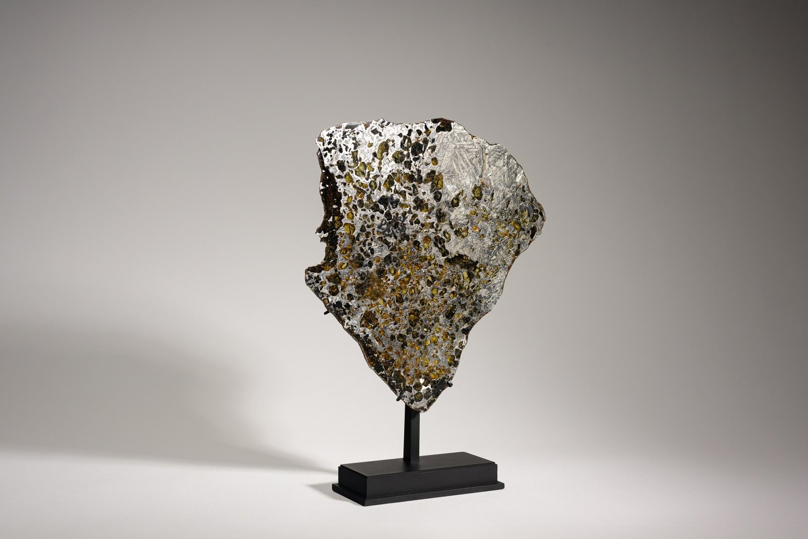 PALLASITE | GRANADA | Discover Your Inner Explorer