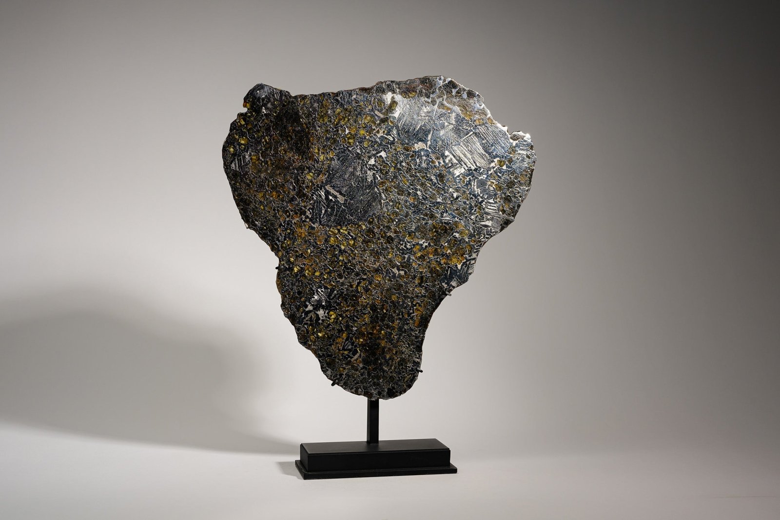 PALLASITE | GRANADA | Discover Your Inner Explorer