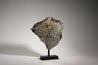 PALLASITE | GRANADA | Discover Your Inner Explorer