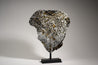 PALLASITE | GRANADA | Discover Your Inner Explorer