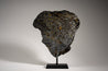 PALLASITE | GRANADA | Discover Your Inner Explorer