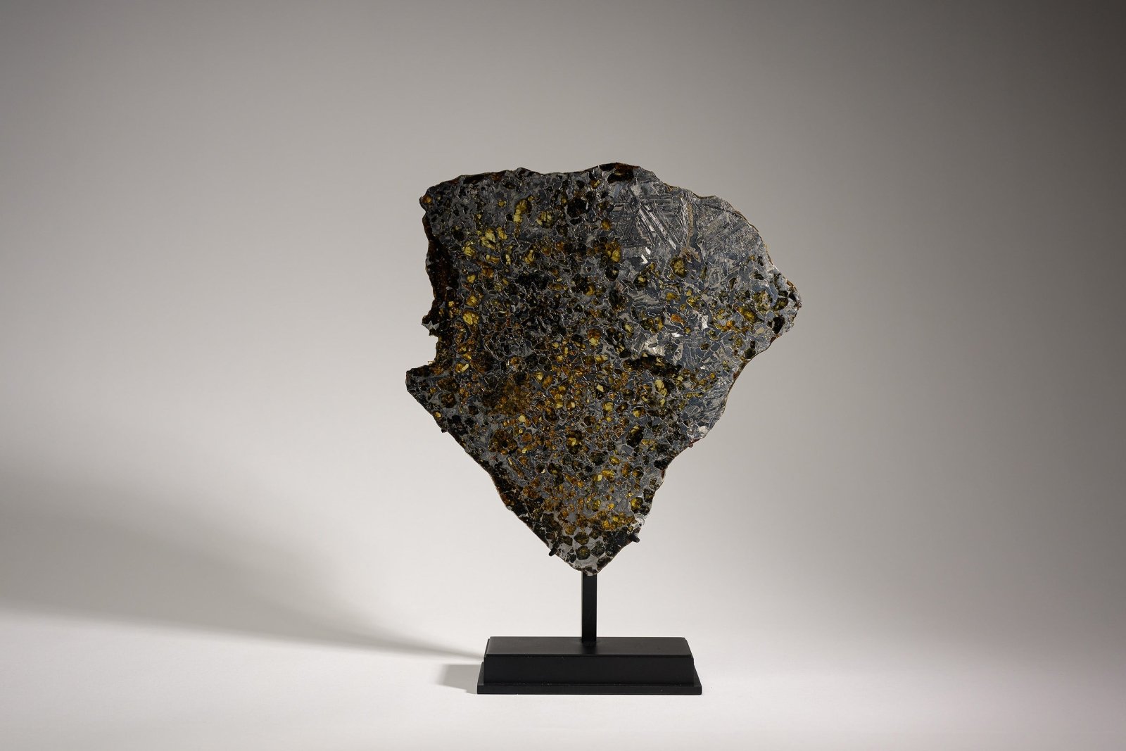 PALLASITE | GRANADA | Discover Your Inner Explorer