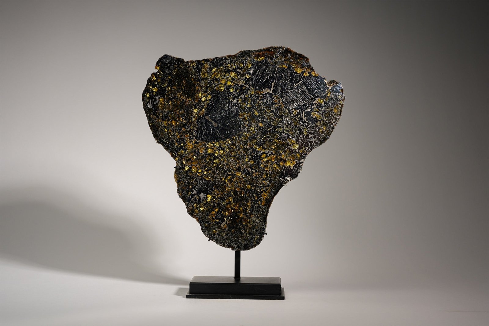 PALLASITE | GRANADA | Discover Your Inner Explorer