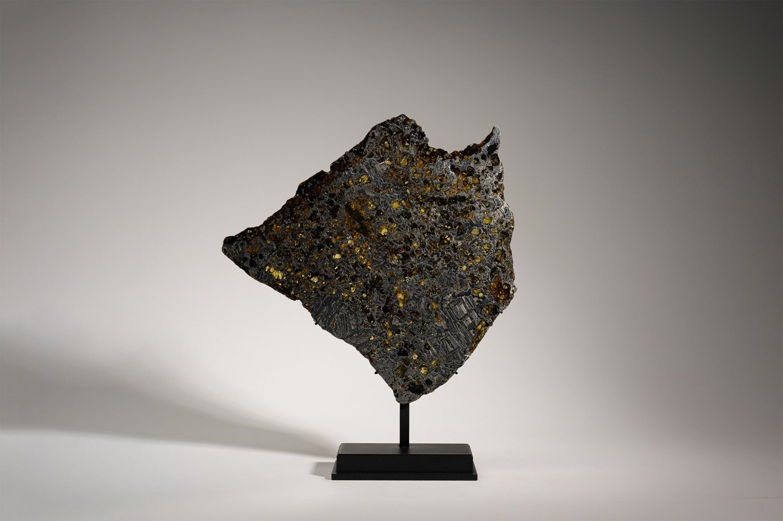 PALLASITE | GRANADA | Discover Your Inner Explorer