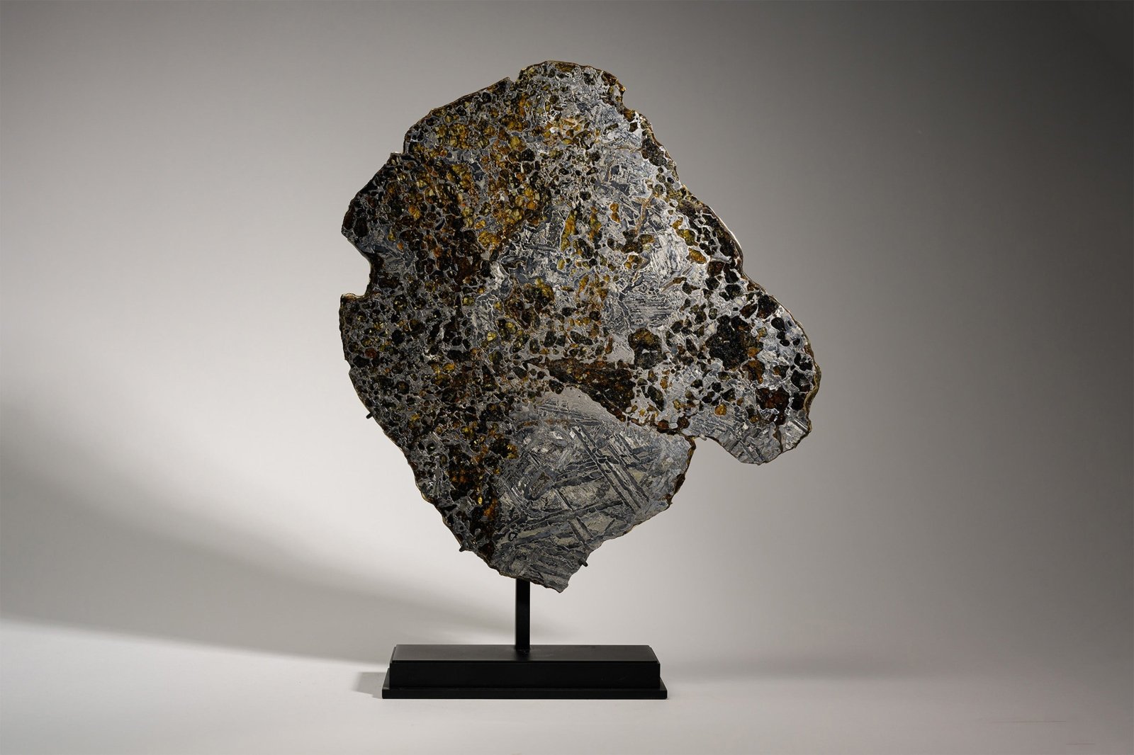 PALLASITE | GRANADA | Discover Your Inner Explorer